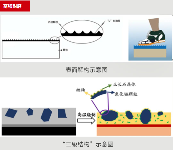 z6com尊龙凯时(中国游)官方网站